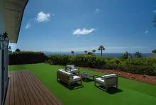 Patio & Backyard 3