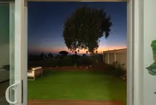 Patio & Backyard 12